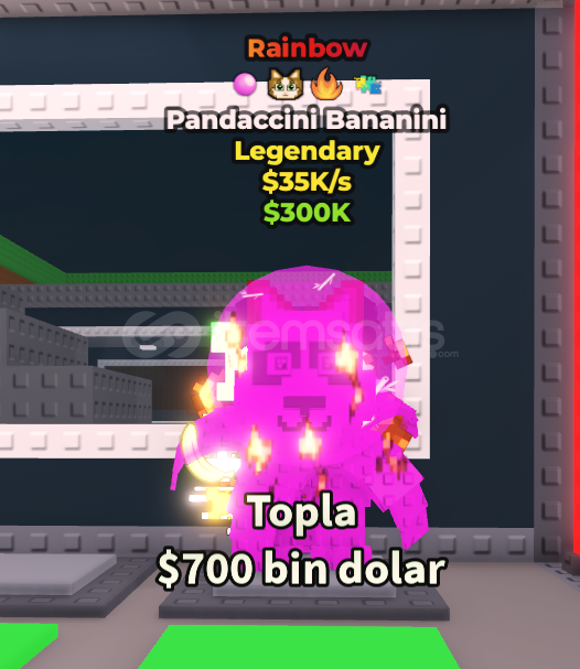 ⭐️pandaccini baninini⭐️ ⭐️pandaccini baninini⭐️