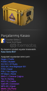 Parçalanmış kasası
