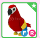 Parrot FR adopt me en ucuzu