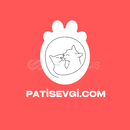 patisevgi.com 