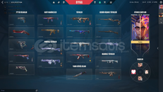 Pazarlığa Açık 6 7 değerli skin ve pek çok skin