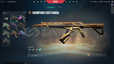 PAZARLIK VARR , 46 Skin ! Hesap Valorant mailli