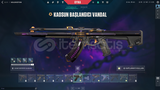 PAZARLIK VARR , 48 Skin ! Hesap Vaorant mailli