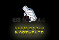 Perm Spider / Permanent Spider