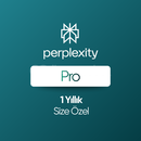 PERPLEXITY PRO 1 YILLIK - KENDİ HESABINIZA