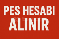 PES HESAPLARI ALINI R YAZMANIZ YETERLİ