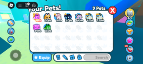 Pet Sim X Pet Satışı