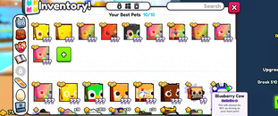 Pet Simulator 99 16 Tane Huge Pet