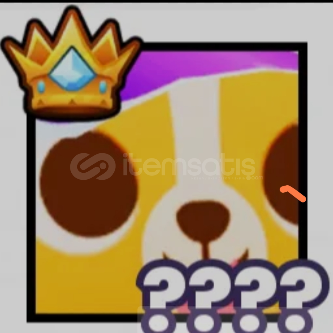 Pet simülatör99 SURFBOARD CORGİ  Pet simülatör99 SURFBOARD CORGİ