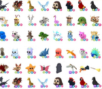 • PETLERİNİZ ALINI R•PİYASANIN ALTINDAN HIZLICA•