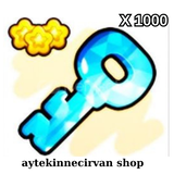 [PETS GO] 1000 Adet Crystal Key | Hızlı Teslim