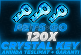 ⭐PETS GO 120X Cyrstal Key | En Hızlı ve Güvenli