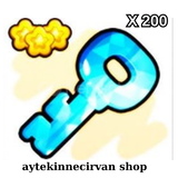 [PETS GO] 200 Adet Crystal Key | Hızlı Teslim