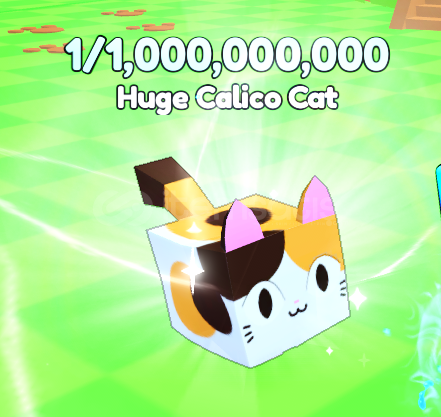 pets go  pets go