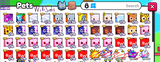 PETS GO 43X HUGE PET SADECE 50TL