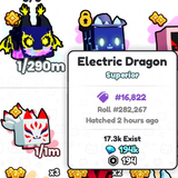 PETS GO / ELECTRİC DRAGON! / 290M