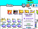 Pets Go Huge Shiba