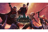 Pillars of Eternity - Definitive
 + Garanti