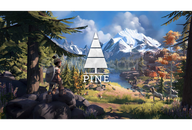 Pine + Garanti