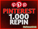 Pinterest 1.000 Repin
