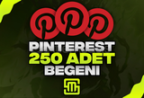 ✨Pinterest 250 Adet Beğeni!