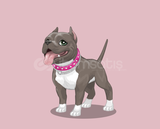 Pitbull