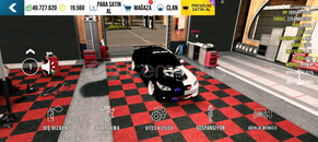 ⭐PİTBULL NADİR ÇİZİM CPM1⭐