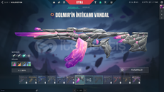 Piyasanın en fenası efsane hesap vpli