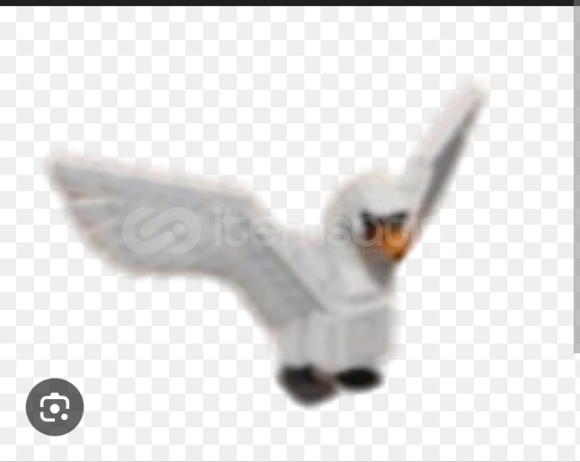 PİYASANİN EN UCUZU 2X SWAN 25TL PİYASANİN EN UCUZU 2X SWAN 25TL