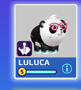 Pk xd Luluca Panda Özel Pet Pkxd