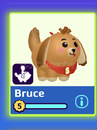 Pkxd Bruce Özel Pet Pkxd Hızlı
