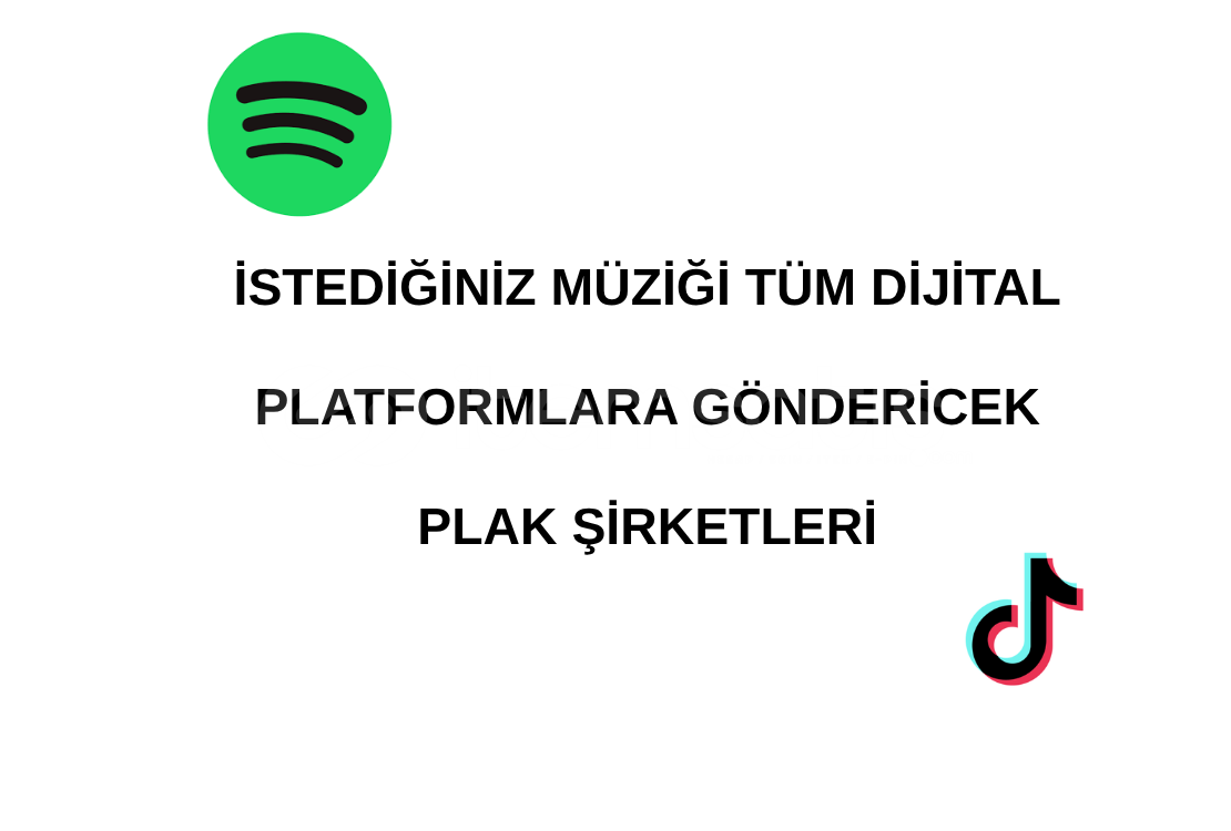 PLAK ŞİRKETLERİYLE ANLAŞMA YAPMA PLAK ŞİRKETLERİYLE ANLAŞMA YAPMA