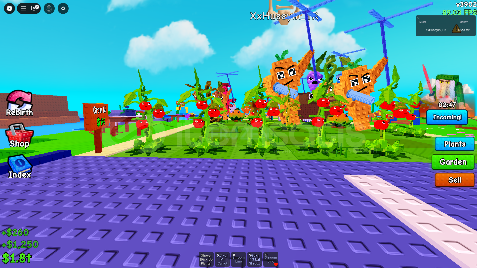 plant vs brainrots ucuz plantttt plant vs brainrots ucuz plantttt