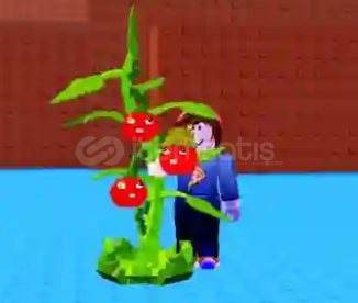 Plants vs brainrot Tomatrio çok uyguna Plants vs brainrot Tomatrio çok uyguna