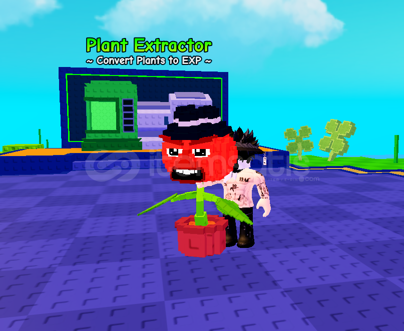 Plants Vs Brainrots ????2x Tomade Torelli plant Plants Vs Brainrots ????2x Tomade Torelli plant