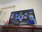 Plastation 110 ibrahimovic Plastation 110 ibrahimovic