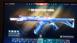 PLAT 1 Valorant Hesabı | Full Skinli 