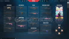 PLAT 2 KELEBEK BIÇAK VE EJDER VANDALLI HESAP