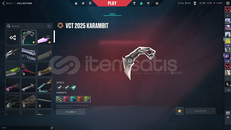 Plat 2 Ranklı, Zengin Envanterli Valorant Hesab