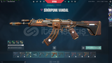 PLAT 3 SKİNLİ HESAP 