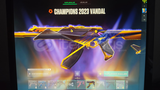 Plat MMR'lı Full Ajanlı Hesap