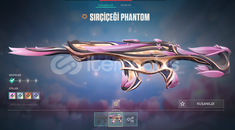 (Plat Rank) SIR ÇİÇEĞİ PHANTOM hesap