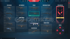 PLAT2 İLK MAİLLİ EVORİ SKİNLİ HESAP