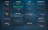 PLAT2 ÖZEL HAREKAT KELEBEKLİ HESAP