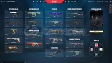 Platinum 1 Hesap | Nadir Skin & Bıçak Garantili