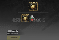 PMSC STAR ÇERCEVE HESAP