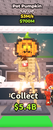 pot pumpking tr de en ucuzu