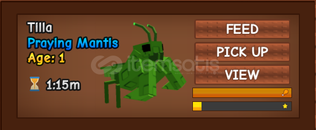 praying mantis