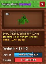 ⭐Praying Mantis Hızlıca Teslim edilir