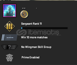 PREMİER HAZIR 1 MADALYA | 250 SAAT | TR HESAP |